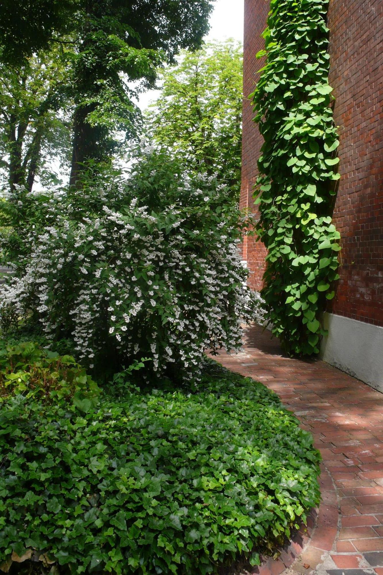 Pension Villa Fortuna 뤼벤 외부 사진